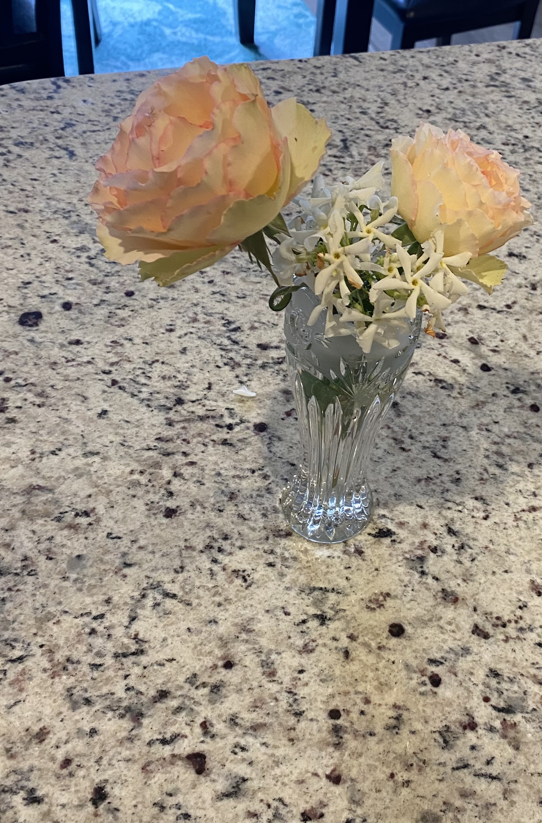 IMG_7464.jpeg