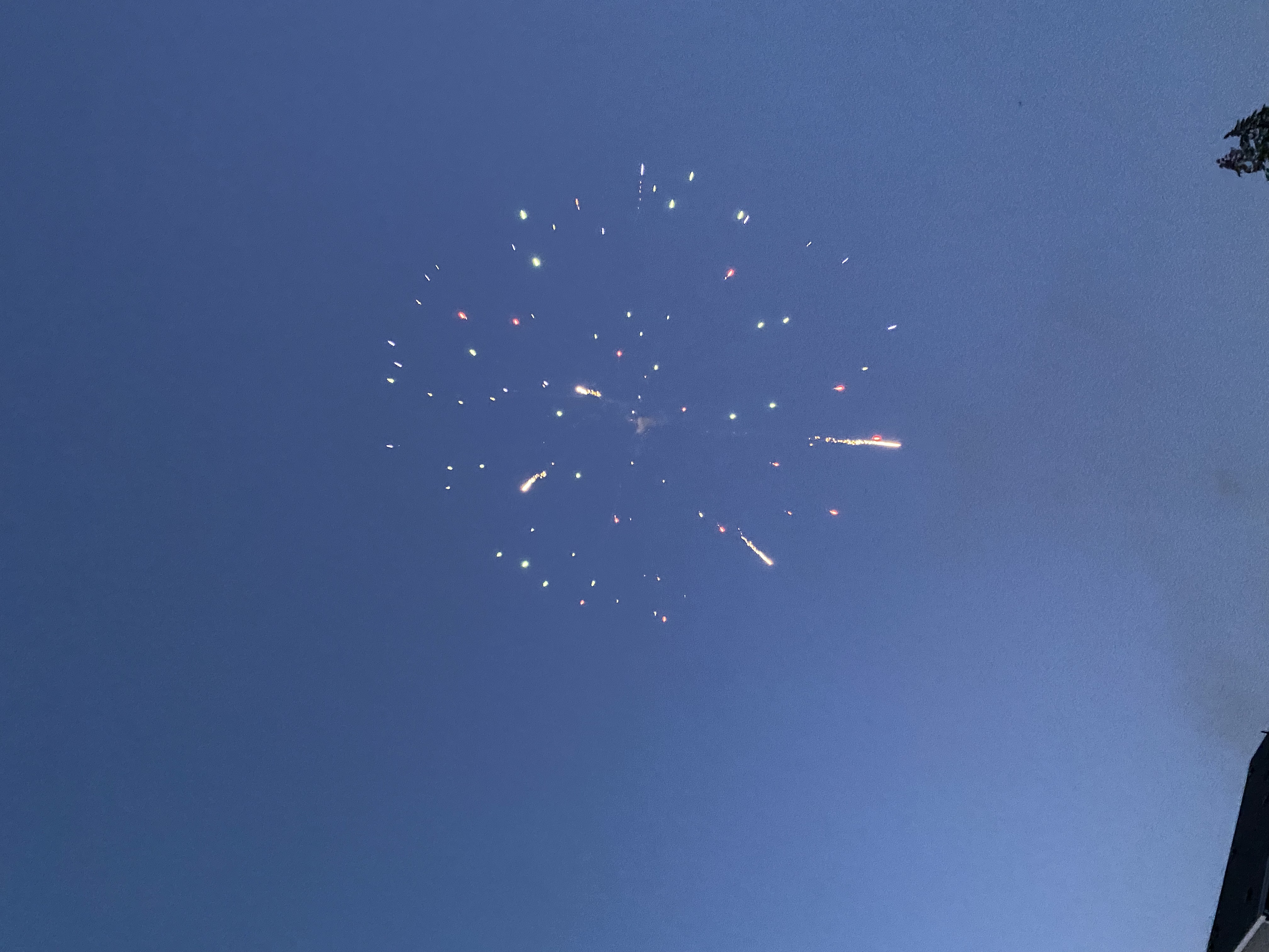IMG_7508.jpeg