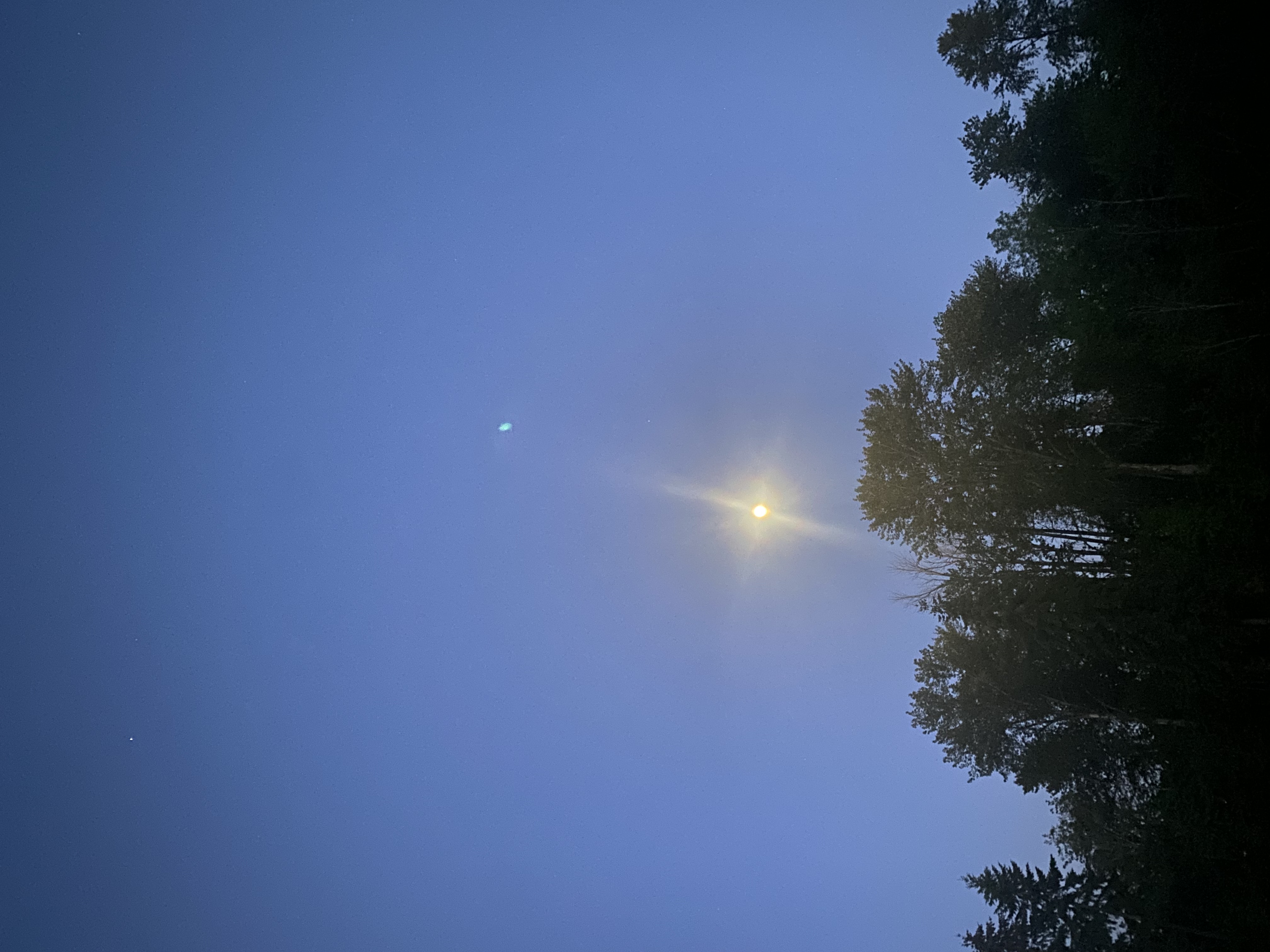 IMG_7152.jpeg