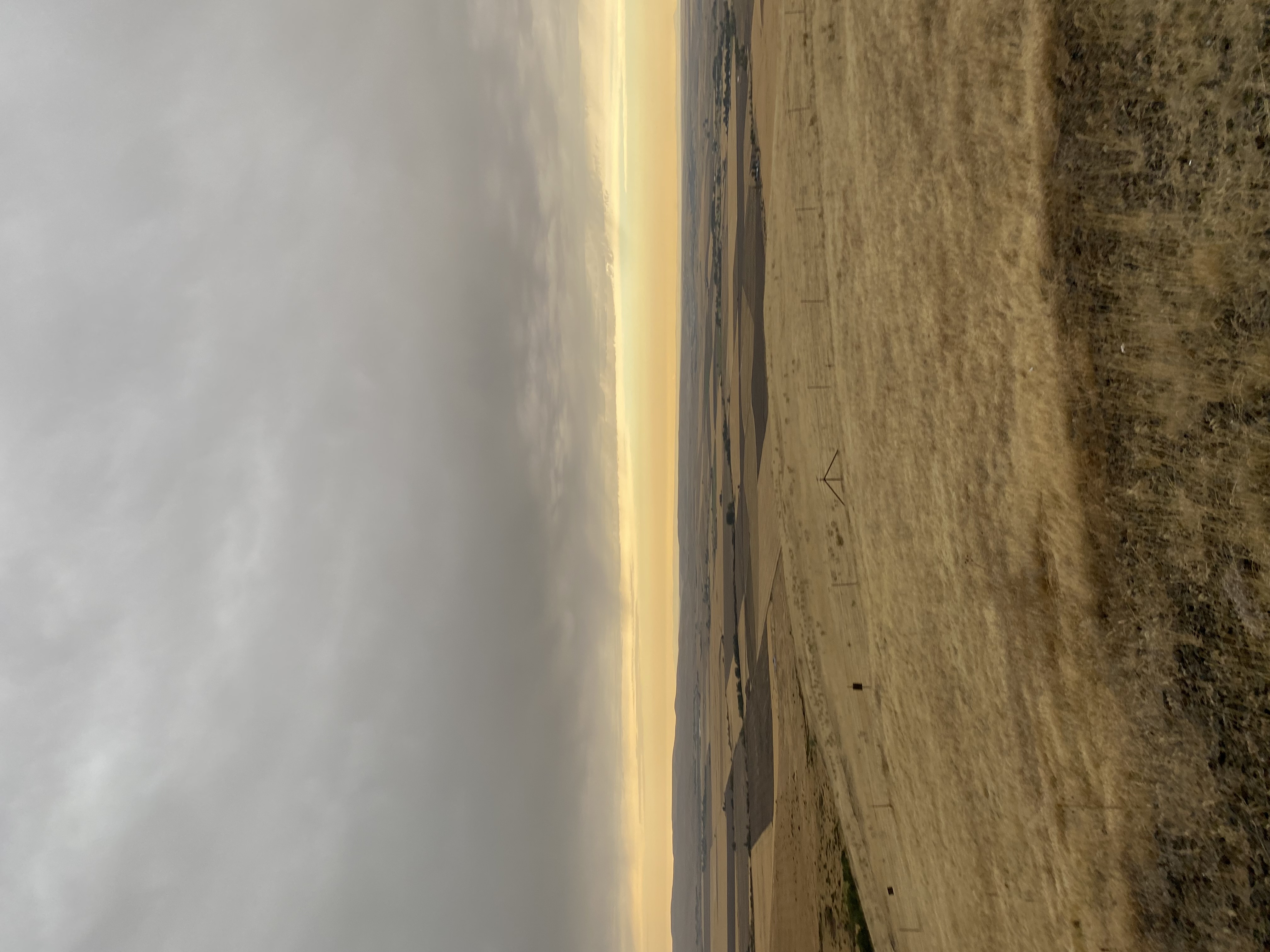 IMG_7882.jpeg
