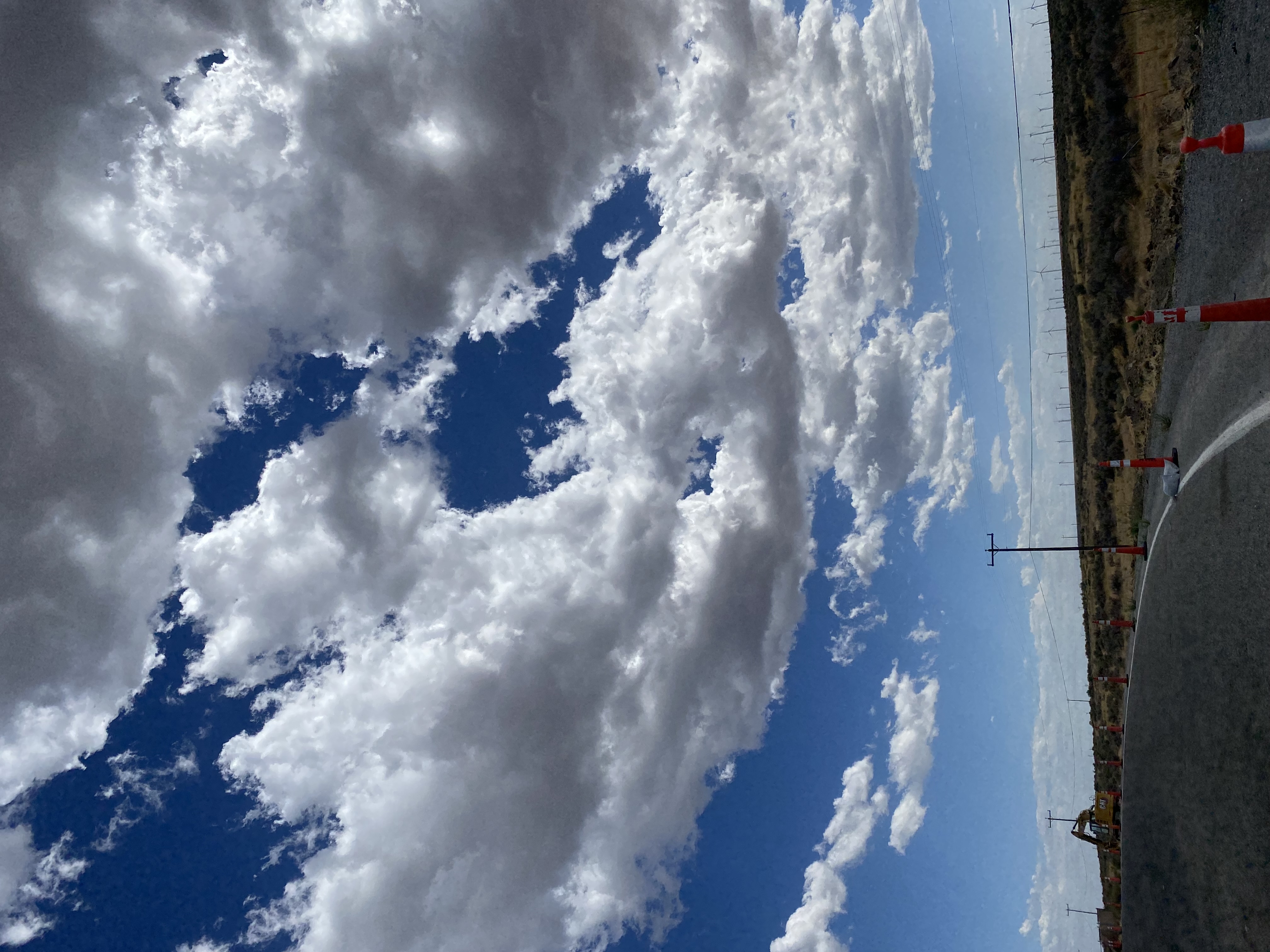 IMG_7888.jpeg