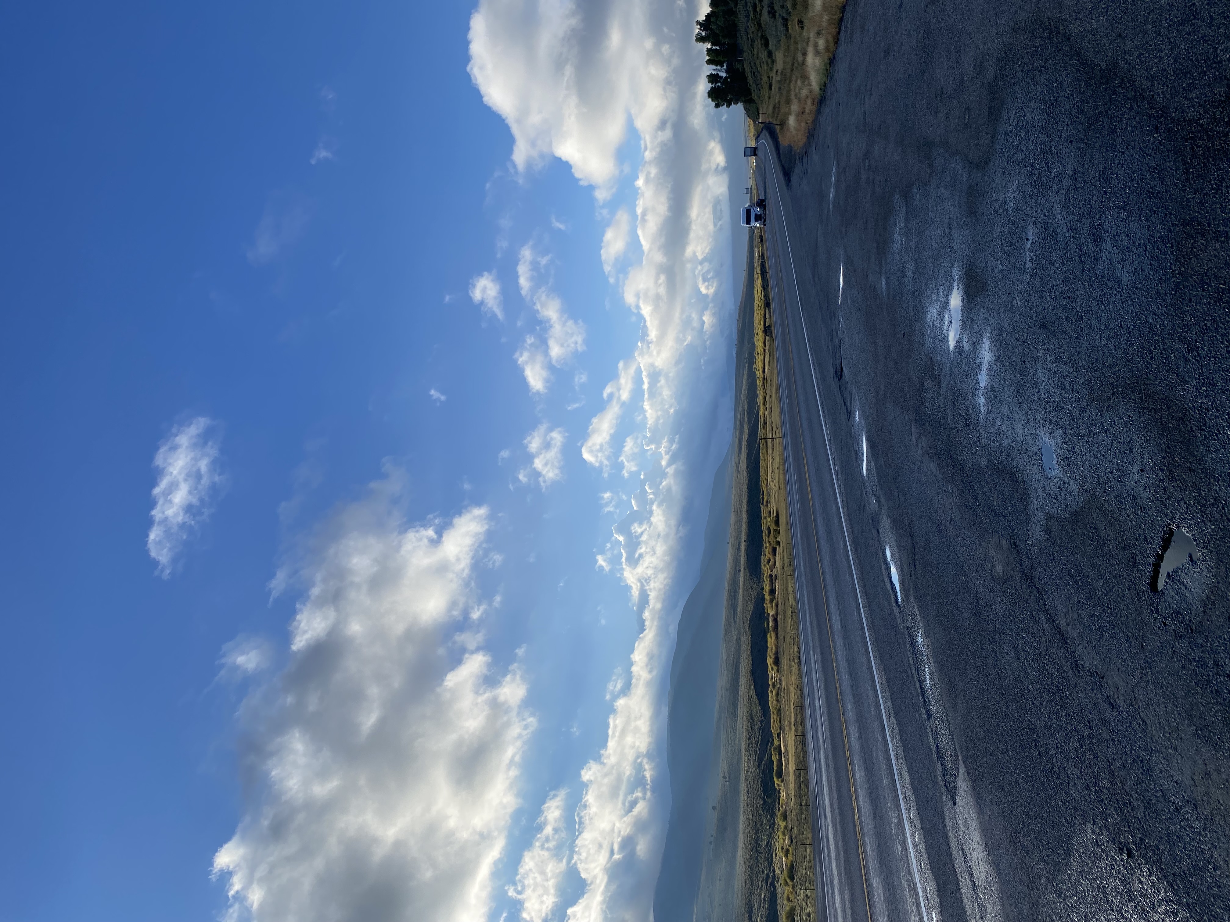 IMG_7902.jpeg