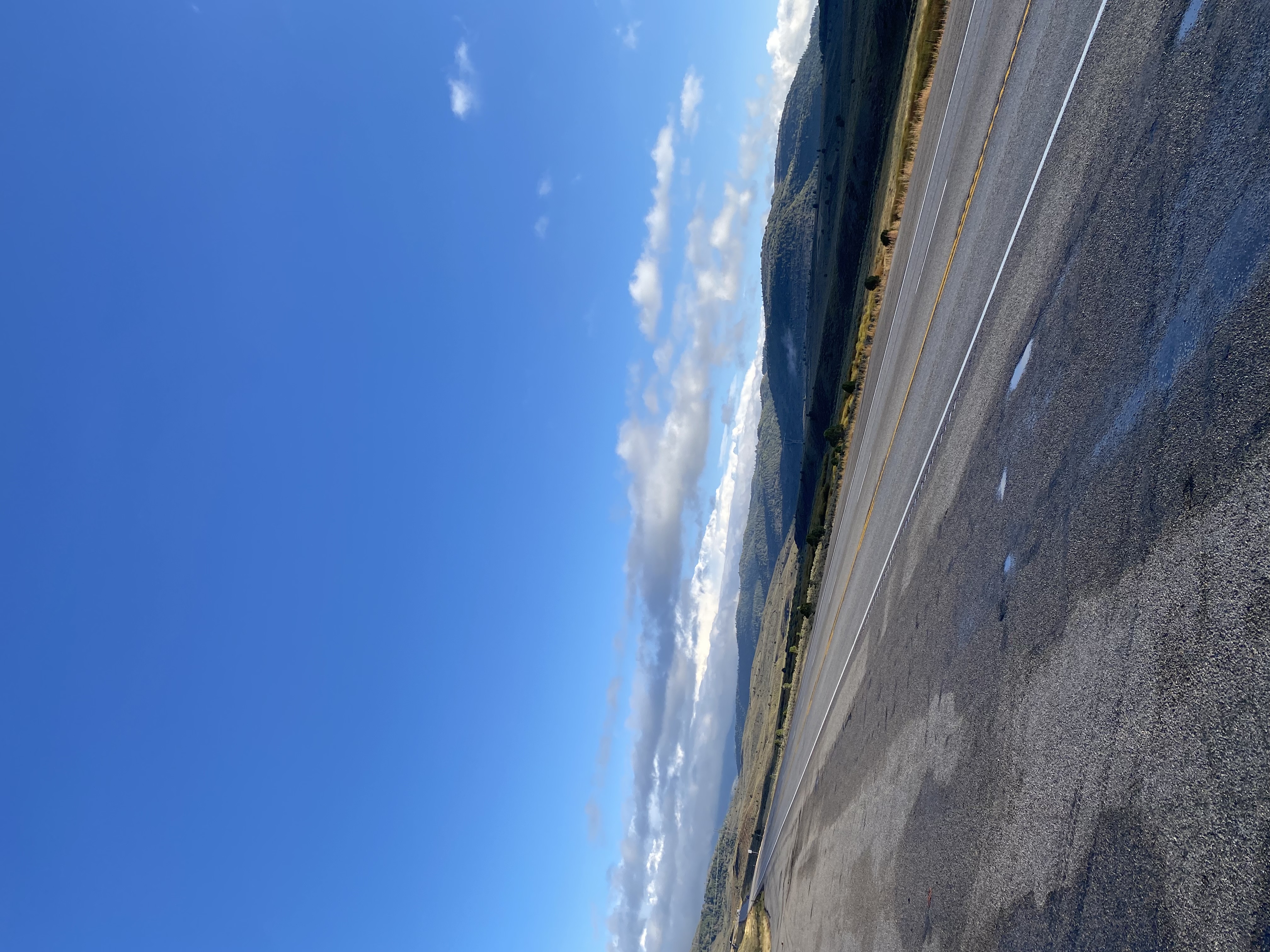 IMG_7901.jpeg