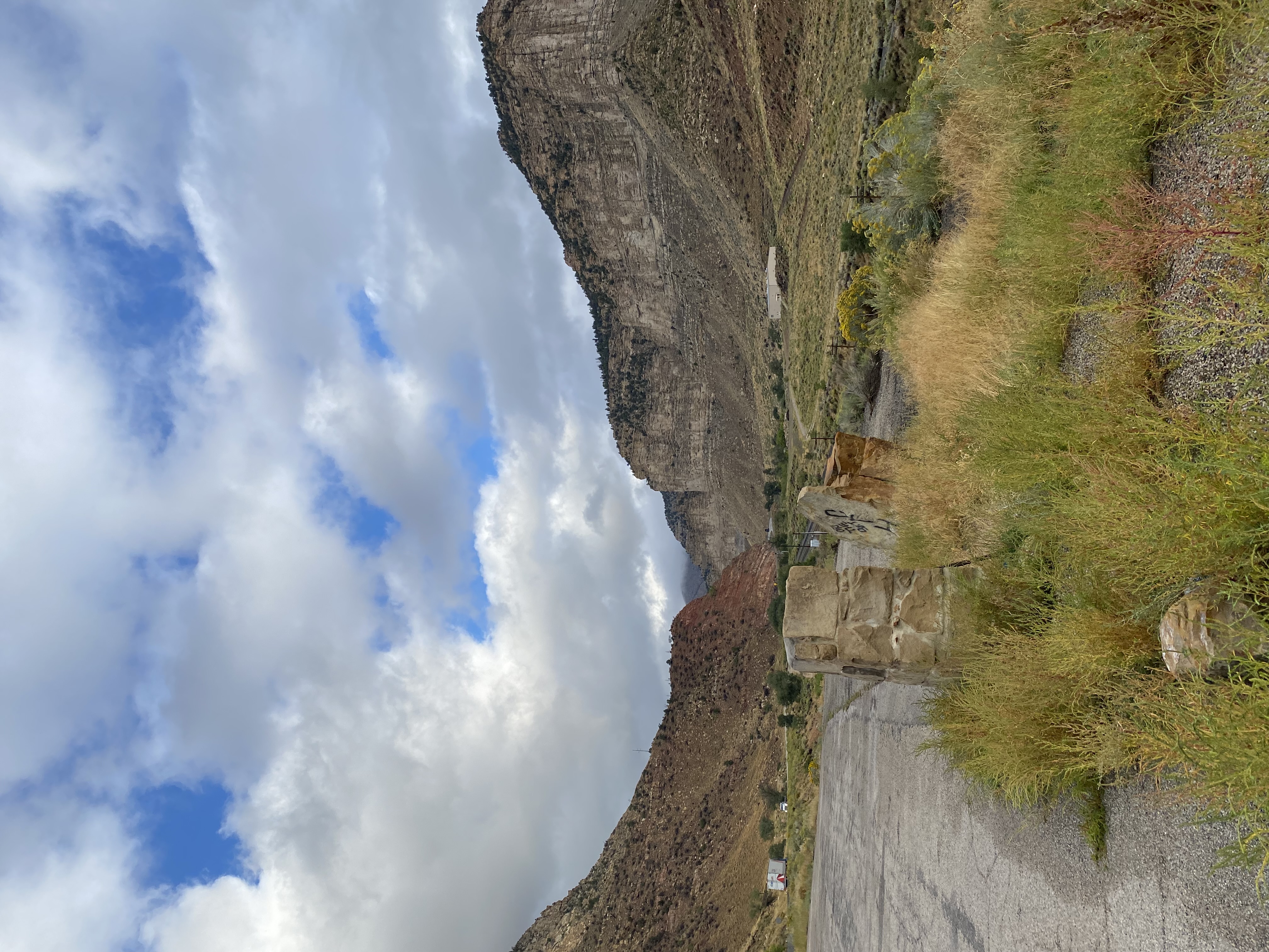 IMG_7903.jpeg