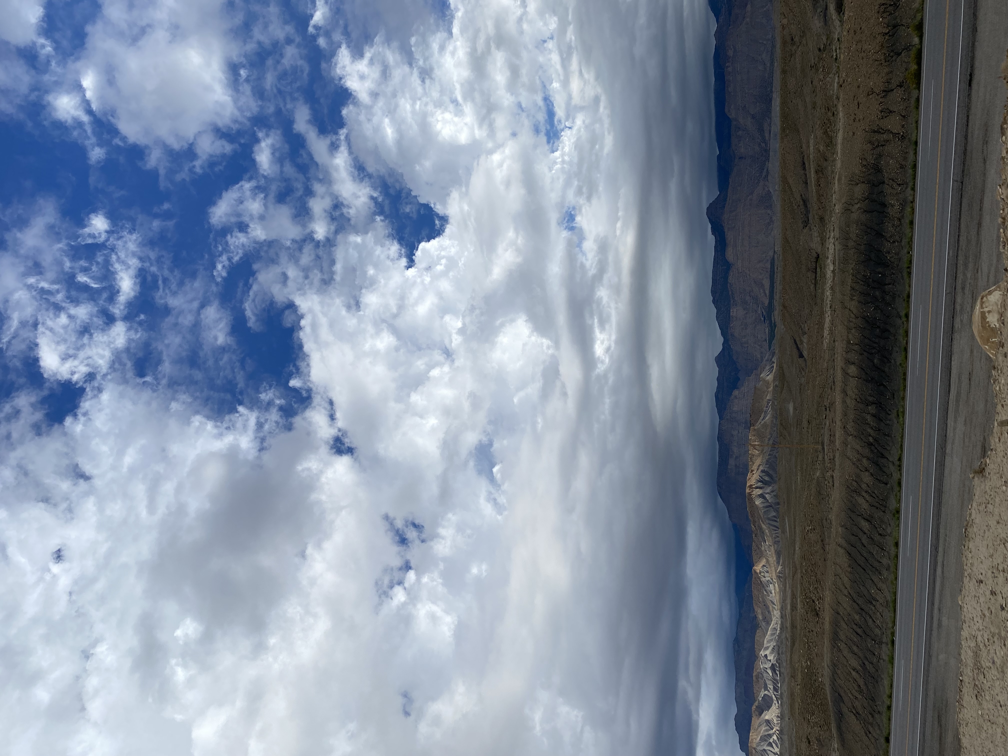 IMG_7911.jpeg