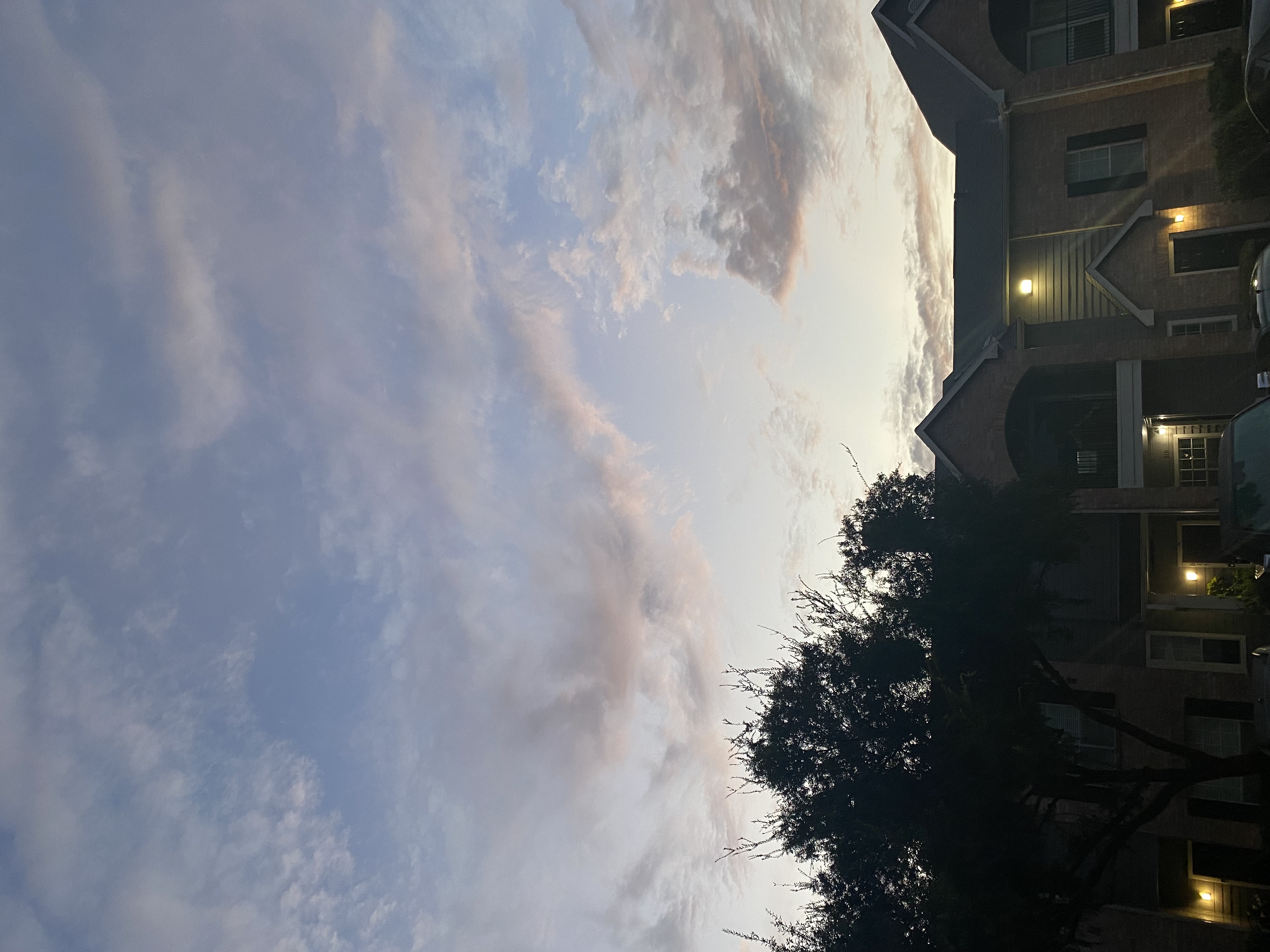IMG_8008.jpeg