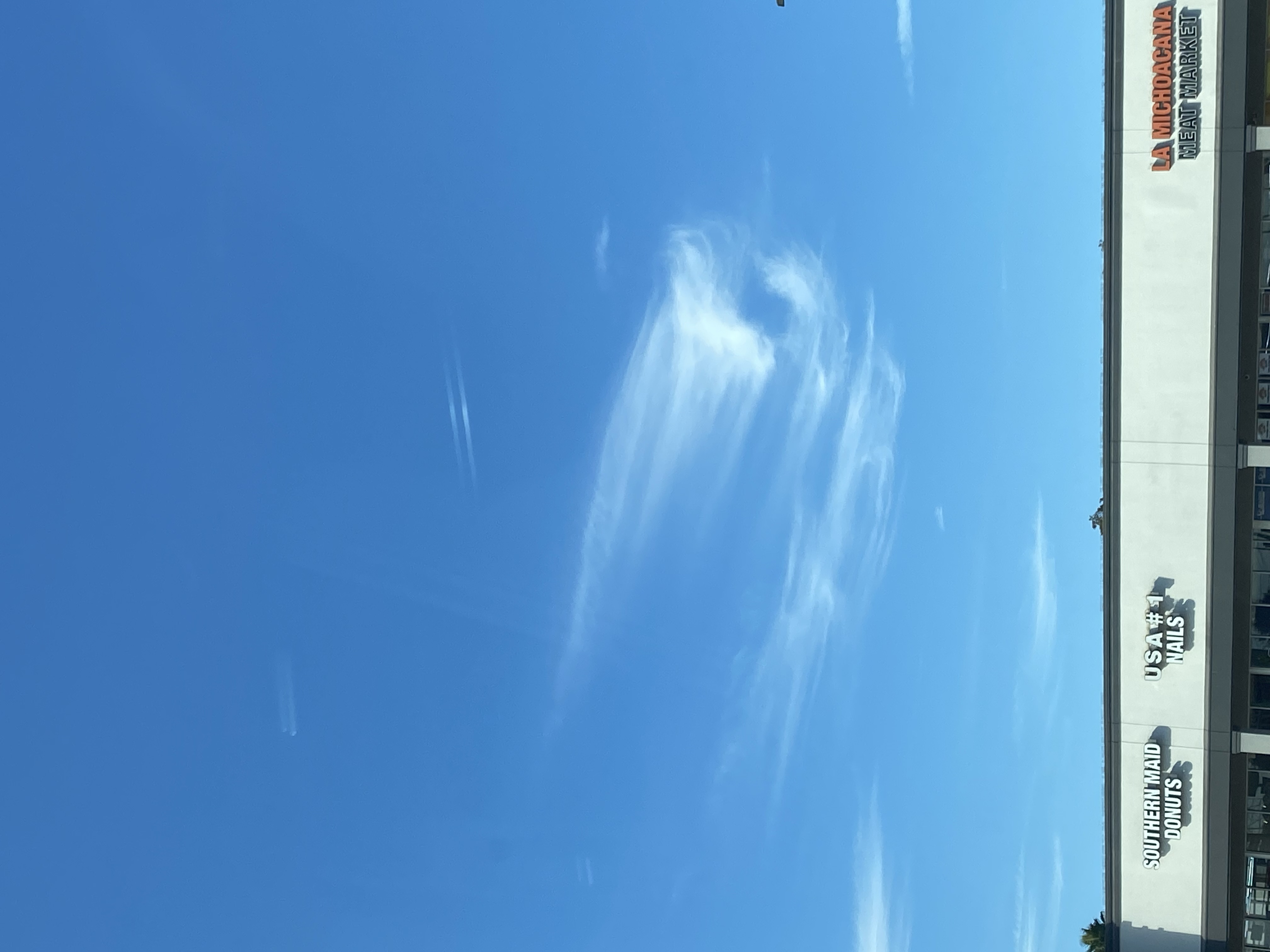 IMG_8212.jpeg