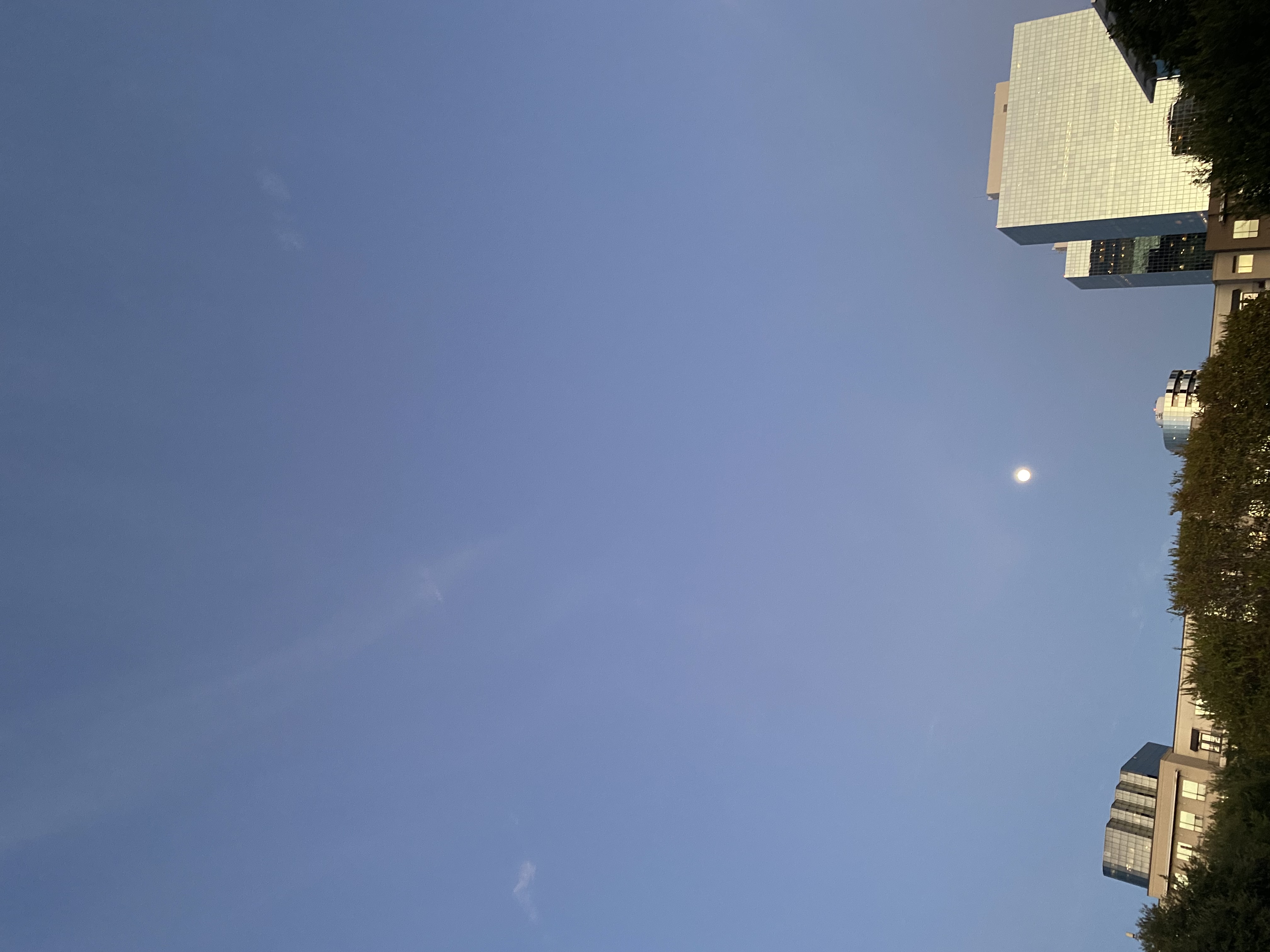 IMG_8221.jpeg